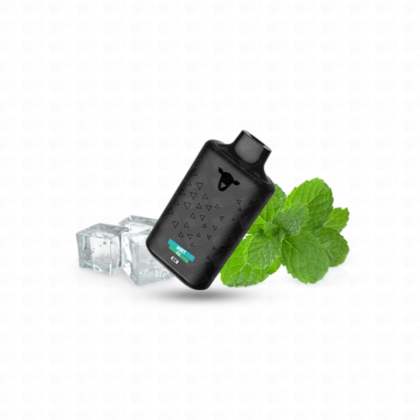 Pod Descartável The Black Sheep 8k 8000 Puffs - 2% - Mint Ice