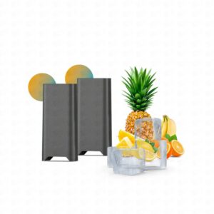Pods Juul 2 - Summer Menthol